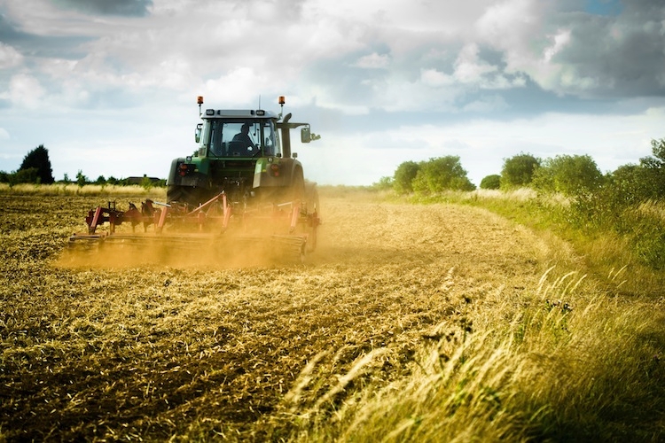 agricoltura-lavoro-agricolo-agricoltore-trattore-macchine-agricole-contoterzismo-agromeccanici-campo-campi-by-antbphotos-fotolia-750x500